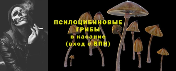 спиды Ельня