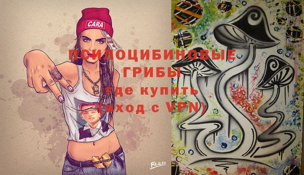 амф Белокуриха