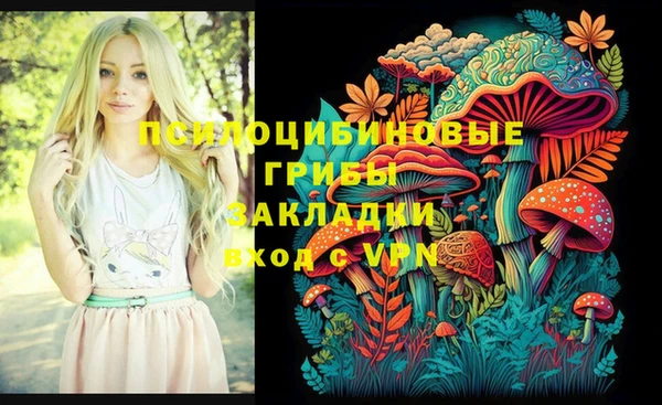 амф Белокуриха