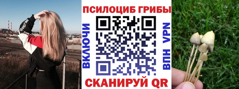 Галлюциногенные грибы мицелий даркнет сайт Гулькевичи