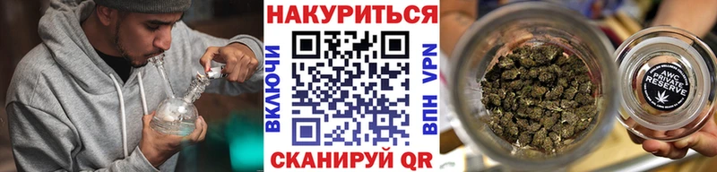 Шишки марихуана сатива  Гулькевичи 